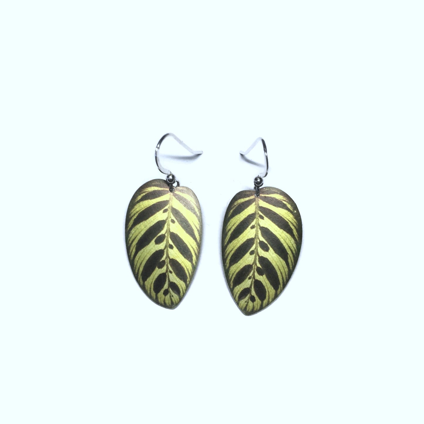 Peacock Calathea leaf earrings