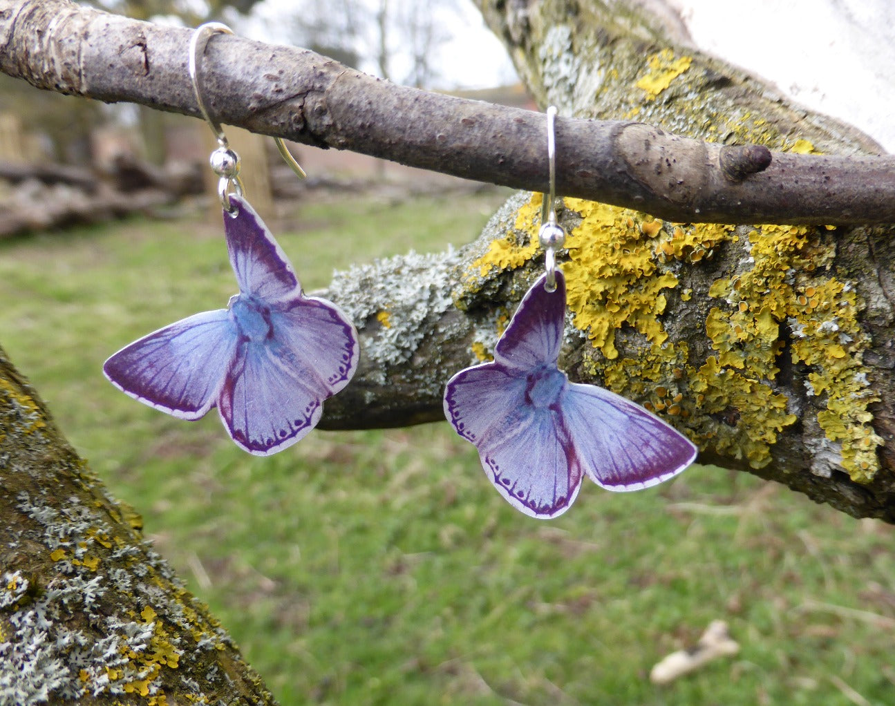 Chalk Hill Blue butterfly earrings by Photofinish Jewellery