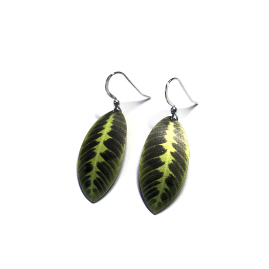 Jungle Velvet Calathea earrings