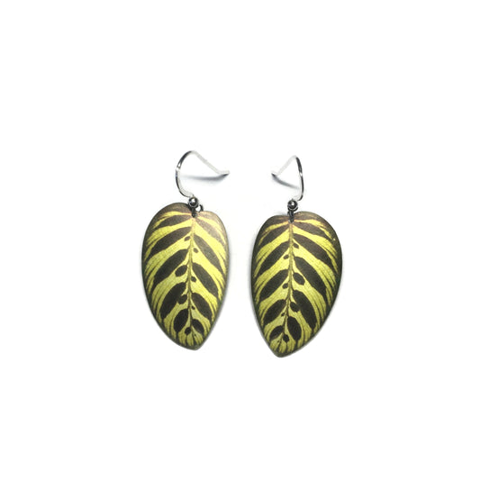 Peacock Calathea leaf earrings