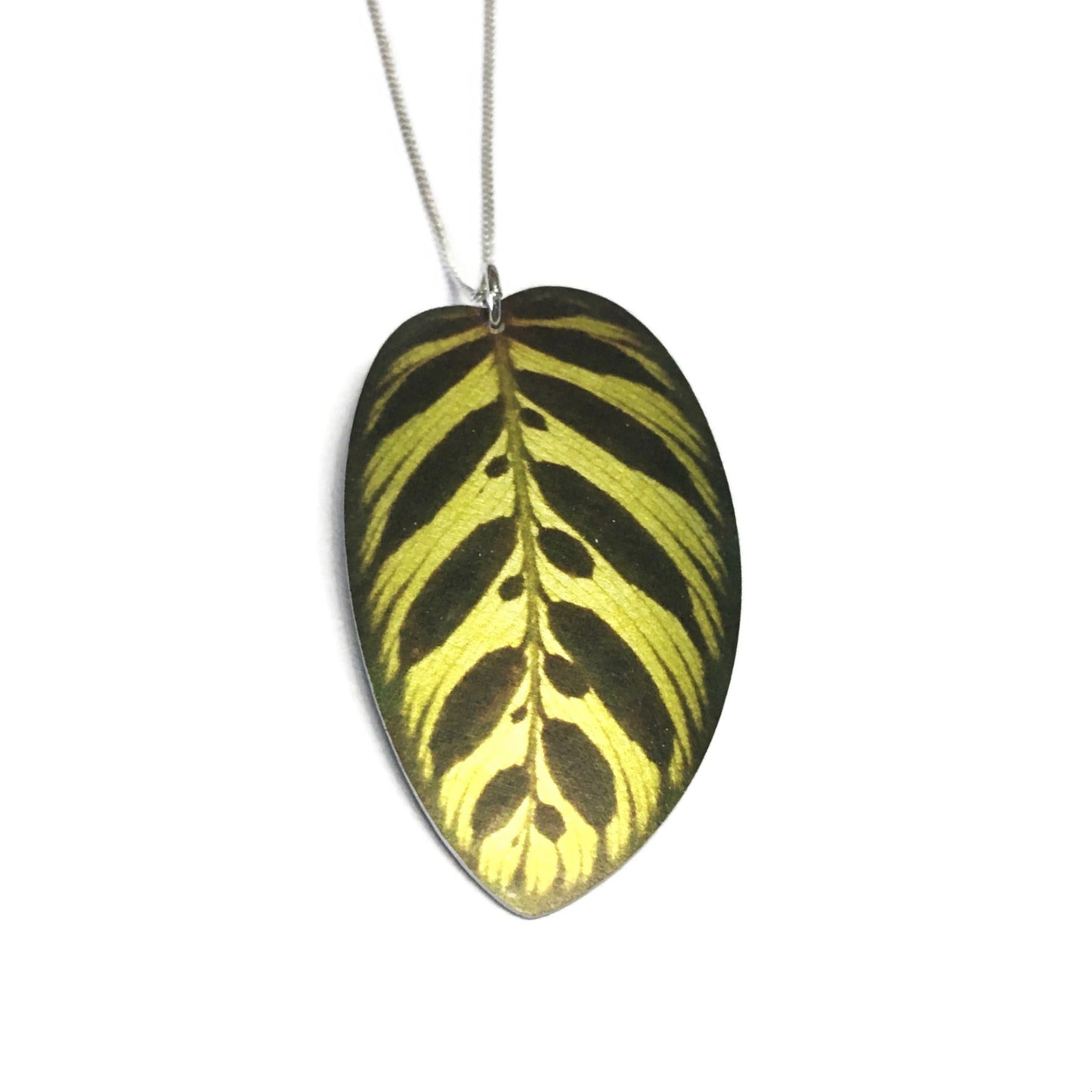 Peacock Calathea leaf necklace