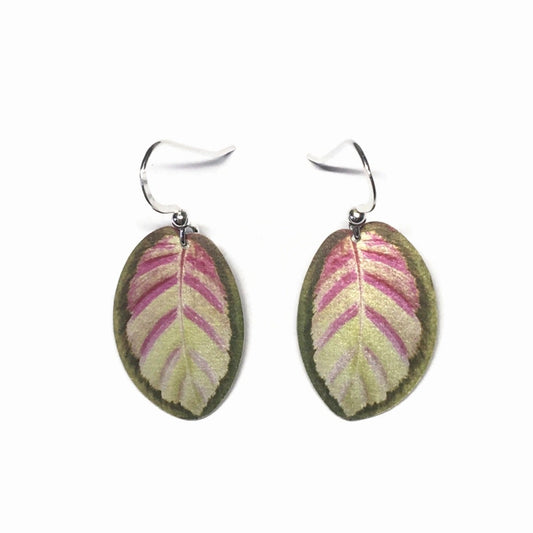 Rosy Calathea leaf earrings
