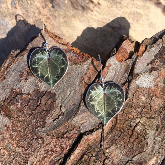 Cyclamen leaf earrings by Photofinish Jewellery